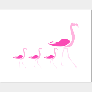 Flamingos flamingo Posters and Art